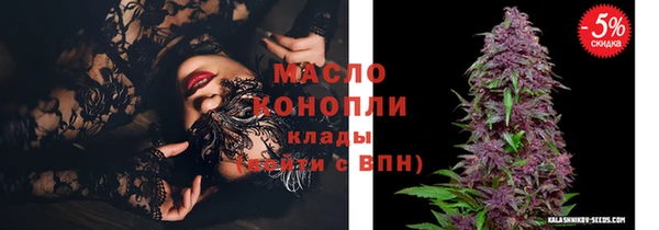 винт Сатка