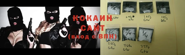 стаф Алзамай