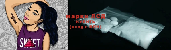 стаф Алзамай