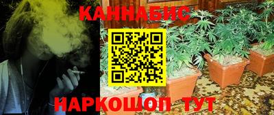 индика Апшеронск